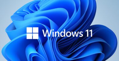 windows 11