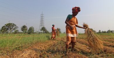 PM Kisan Samman Nidhi Yojana 12th Installment Released