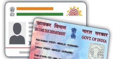 Check Aadhaar Pan Link Status Online